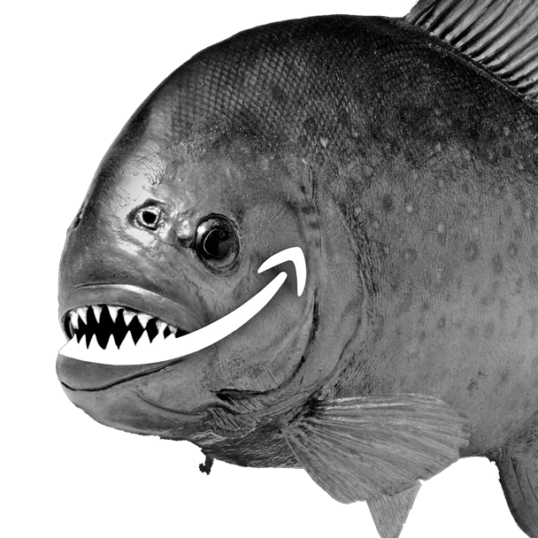 Amazon_608.png Amazon_608.png