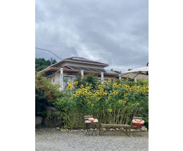 ������� ������� ��� ����� ������