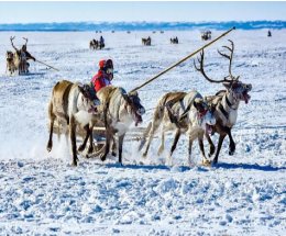 � �� �������� ���������� �� ������ ������� ������, ������ � �������� ������� 