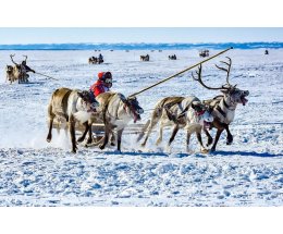"Наука" выпустит книги на языках самых удаленных от цивилизации народов РФ "Наука" выпустит книги на языках самых удаленных от цивилизации народов РФ