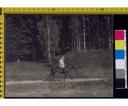 На сайте проекта «Слово Толстого» появился полный фотоархив Льва Толстого и его «социальная сеть» На сайте проекта «Слово Толстого» появился полный фотоархив Льва Толстого и его «социальная сеть»